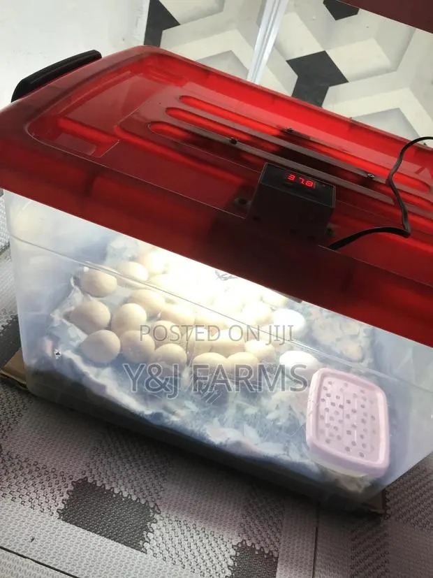 Homemade Egg Incubator · Photo 1