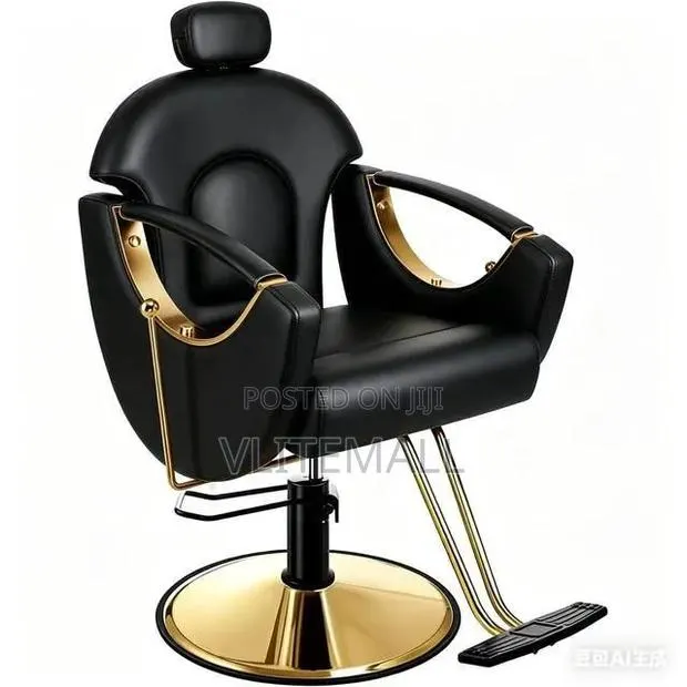 Luxurious Saloon Chairs · Photo 3