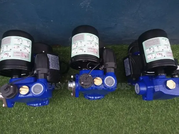 Professional Chimp 1.5hp Water Pump · Photo 1