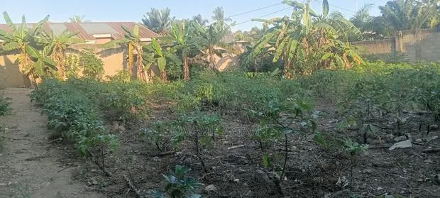 Land for Sale at Fetteh Kakraba, Gomoa East · Photo 1