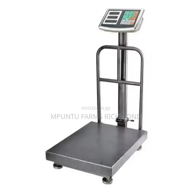 Scale (Electronic Platform Scale) · Photo 1