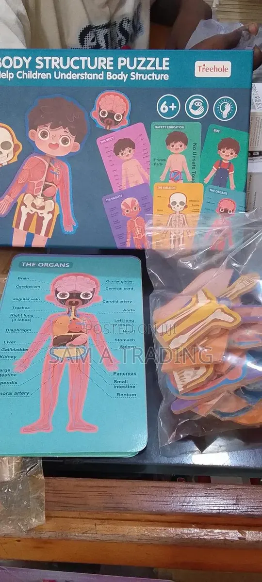 Boys/Girls Body Structure Puzzle · Photo 1