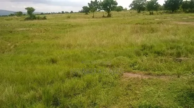 Two Acre Plot Registered Land for Sale · Photo 1