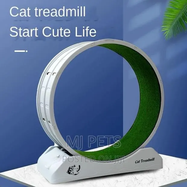 Cat Treadmill · Photo 1