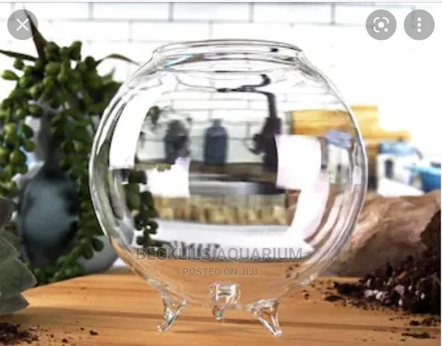 Glass Bowl · Photo 1