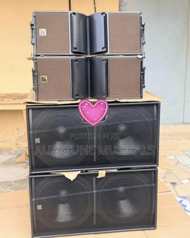Martins Double Sub and 10 Inches Line Arrays