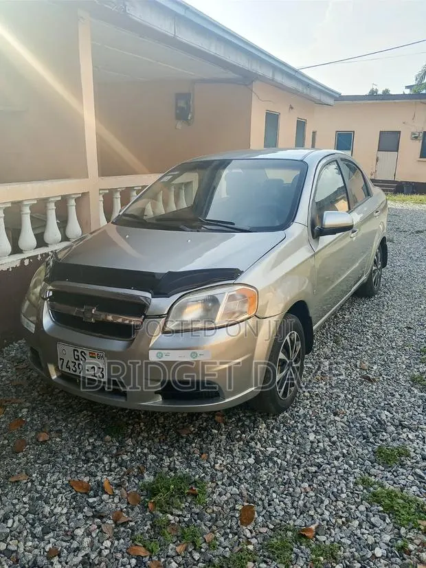 Chevrolet Aveo 2009 Silver · Photo 1