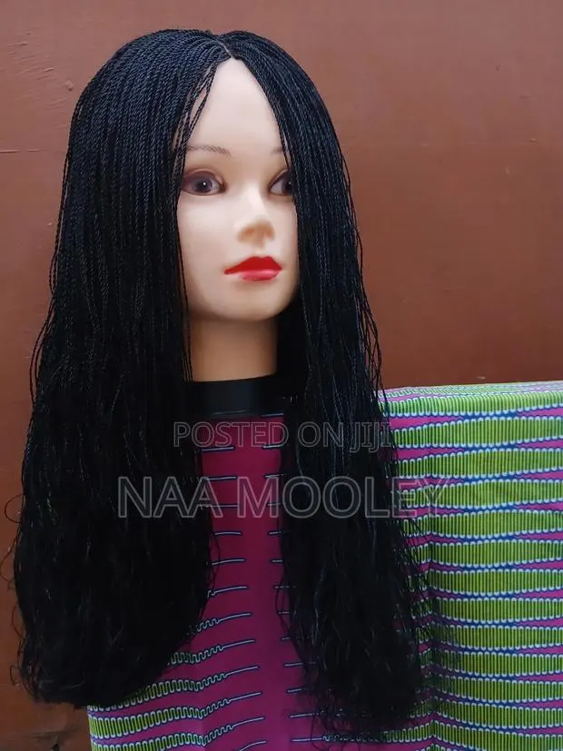 Braided Mini Twist Wig · Photo 1