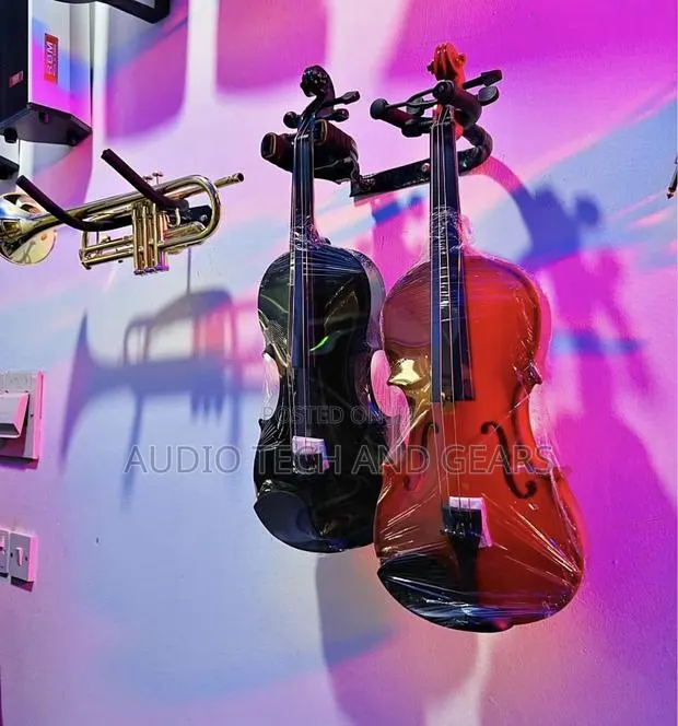 Professional 4/4 Violin · Photo 1