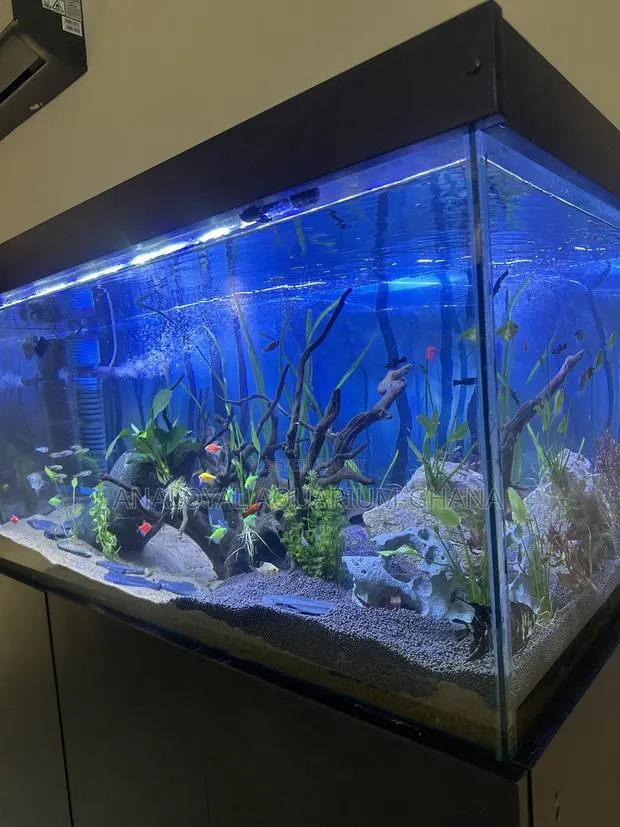 Kenel Aquarium · Photo 1