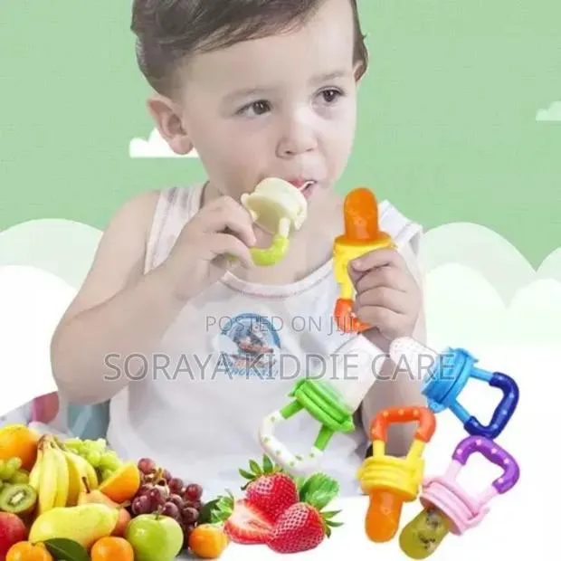 Baby Fruit Feeder · Photo 1