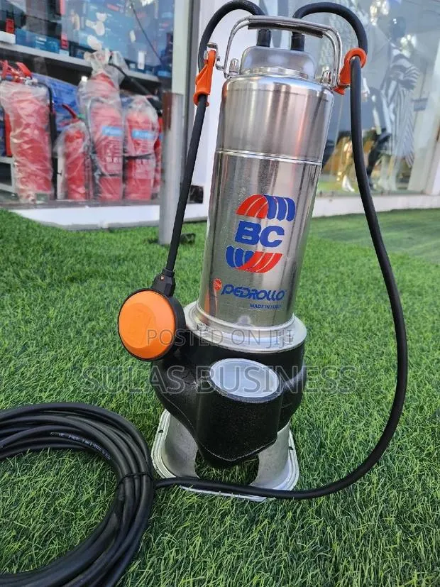 1.5 HP Pedrollo Sewage Pump · Photo 1