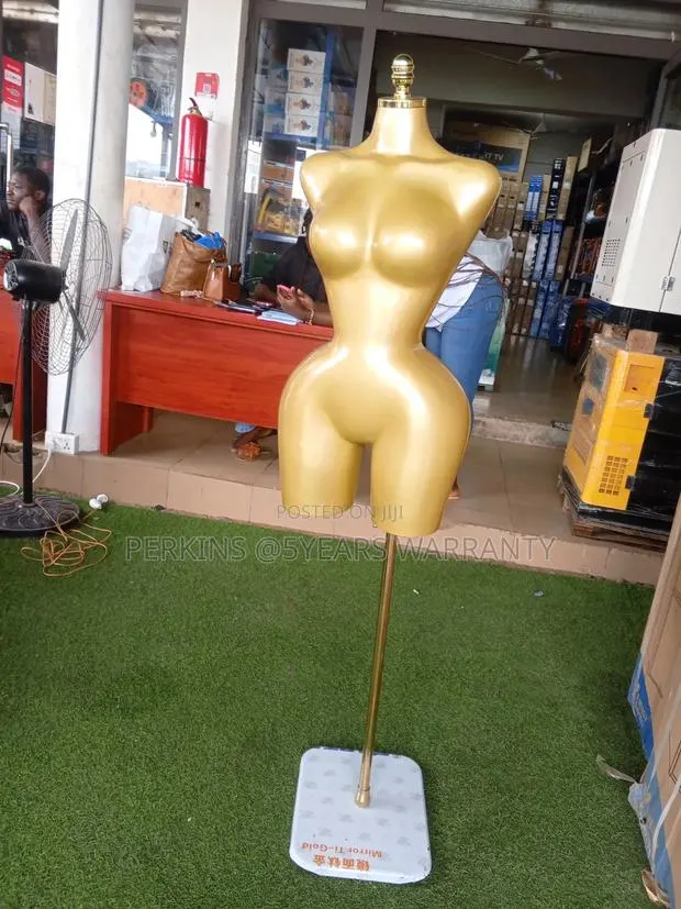 Retail Female Torso Clothing Display · Photo 1