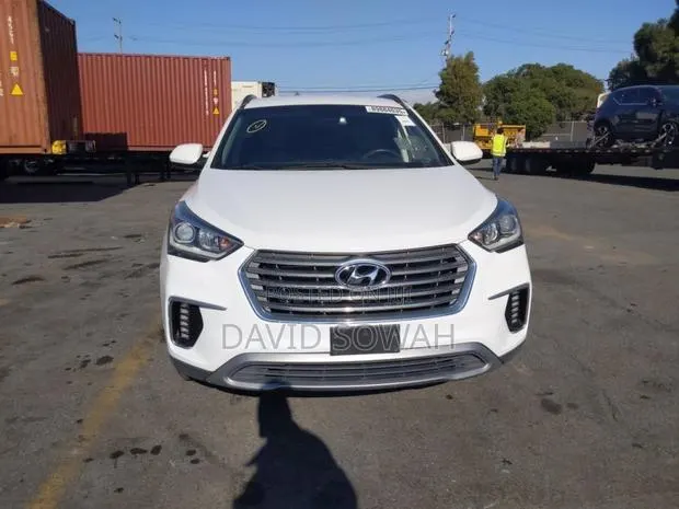 Hyundai Santa Fe 2017 White · Photo 1