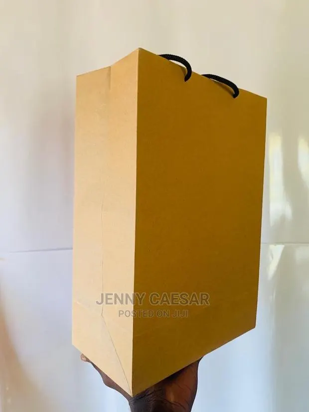 Plain Brown Paper Bags · Photo 1