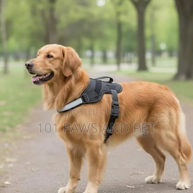 Adjustable, Durable Reflective Vest Dog Harness · Photo 1