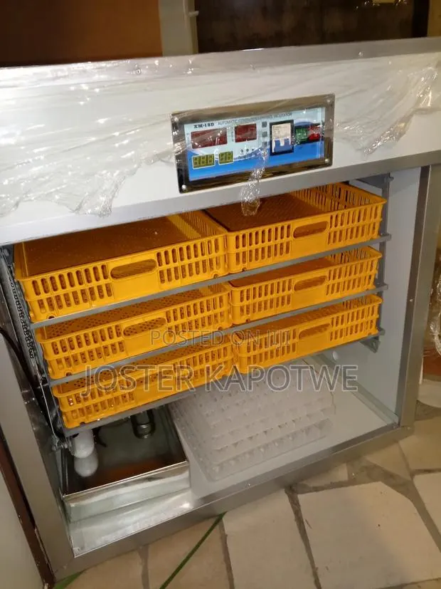 Incubator for Sale · Photo 1
