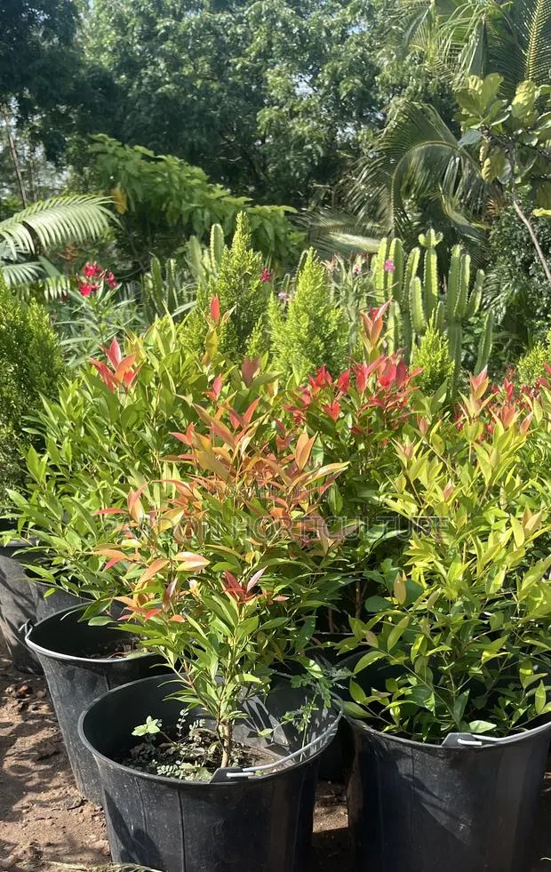 Pardon Horticulture · Photo 1