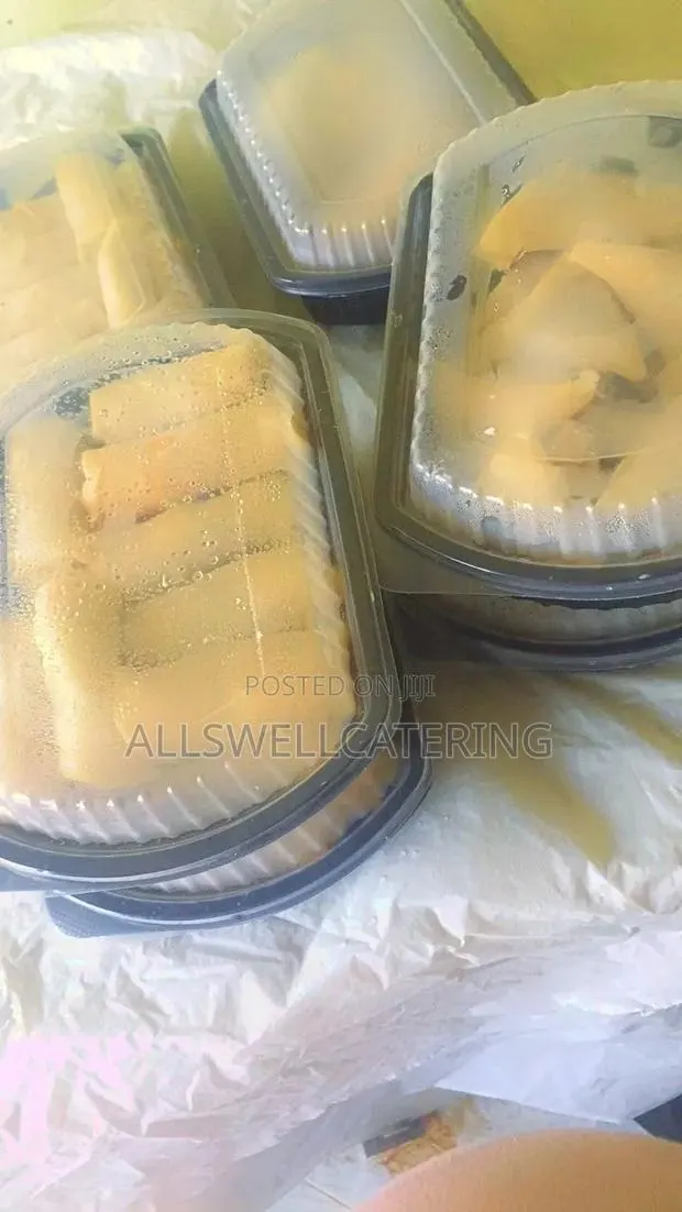 Frozen Spring Rolls · Photo 1