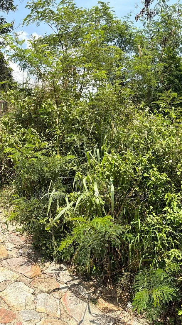 2 Acres of Titled Land · Photo 1