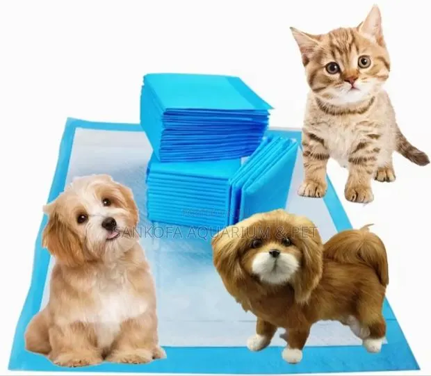Dog Training Pee Pad · Photo 1