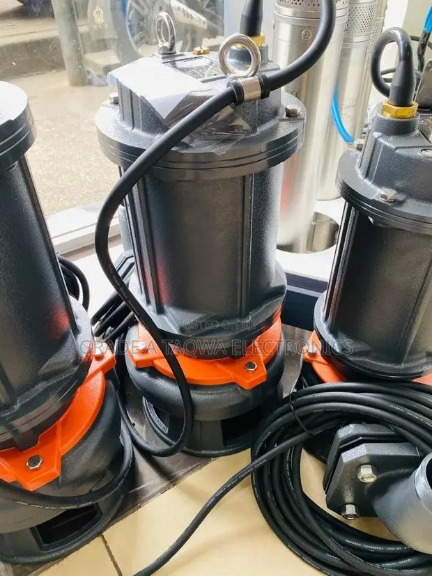 3 Phase Leo 4HP Sewage Water Pump · Photo 1