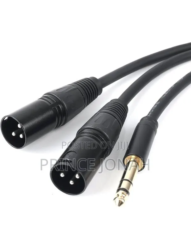6.35mm (1/4inch) TRS Male Plug to 2 Dual XLR Male Microphone · Photo 1