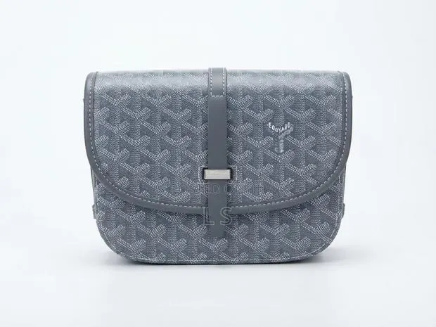 Goyard Belvedere Bag (Grey) · Photo 1