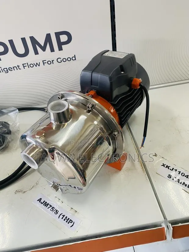 Leo Pure Stainless 1hp Electric Jet Pump · Photo 1