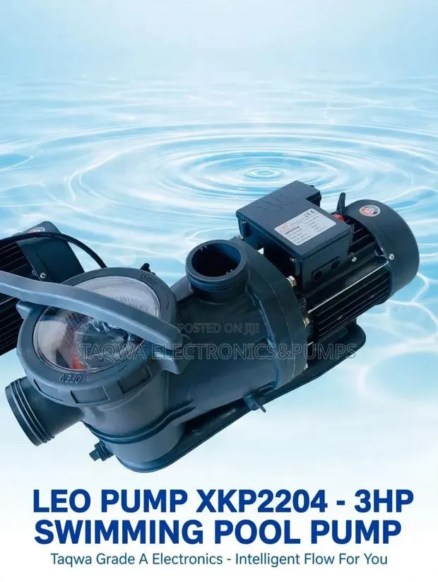 Very Efficient Leo 3.0hp Swimming Pool Pump · Photo 1