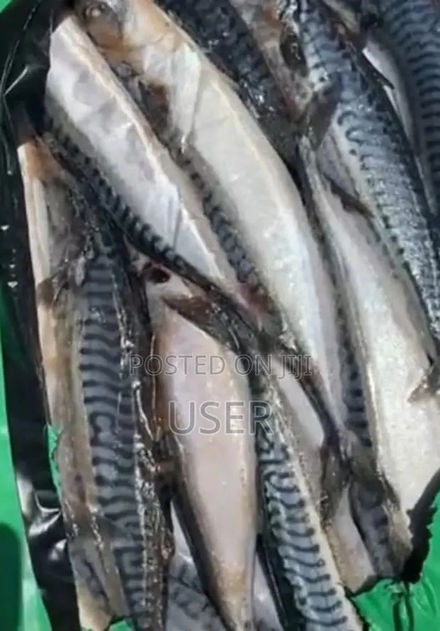 Foreign Salmon (Abidjan) 10kg Boxes · Photo 1