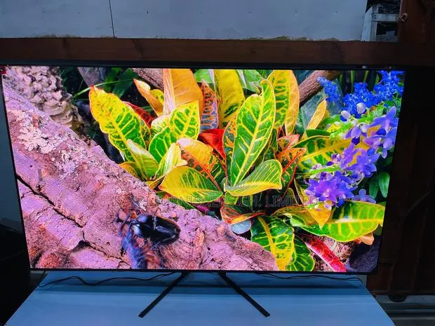 Most Colorful Samsung Oled 65 Inch S93f Active at 144 Hz HDR Smart Tv · Photo 1