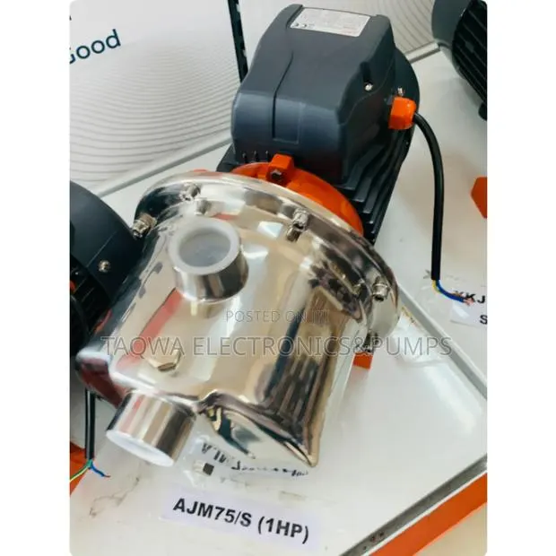 Fluent Flow - 1hp Leo Ajm75s Stainless Pump · Photo 1