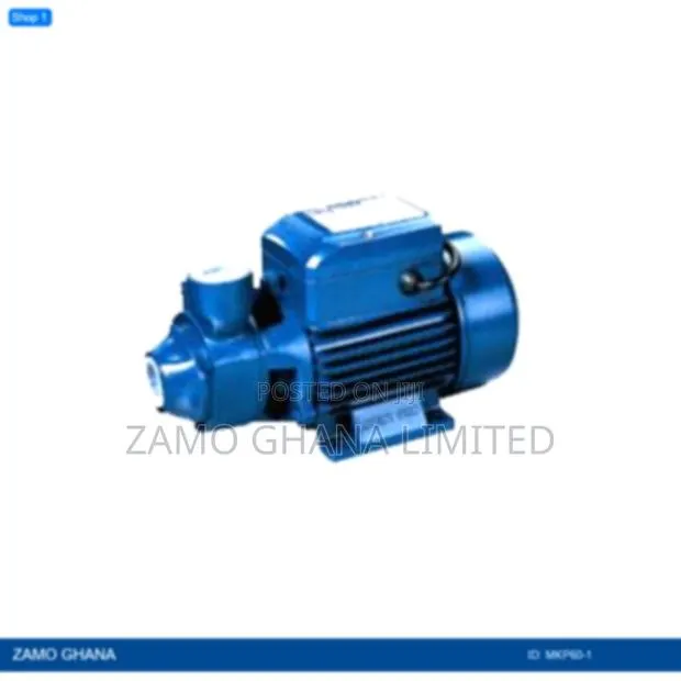 End-Suction Peripheral 0.5 Hp - Mkp60-1 · Photo 1