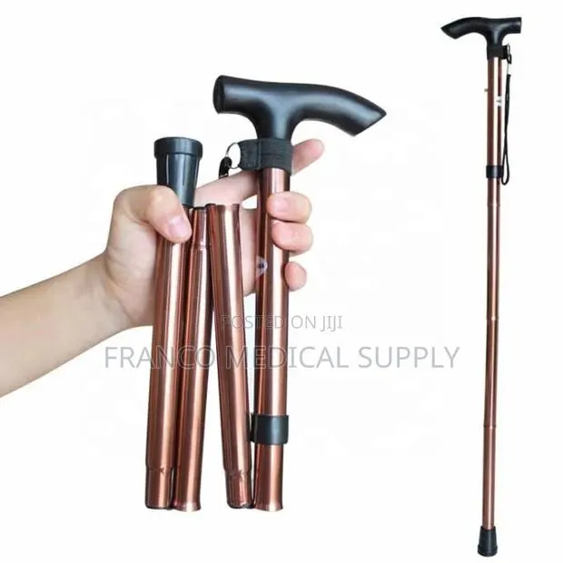 Walking Stick or Walking Cane C · Photo 1