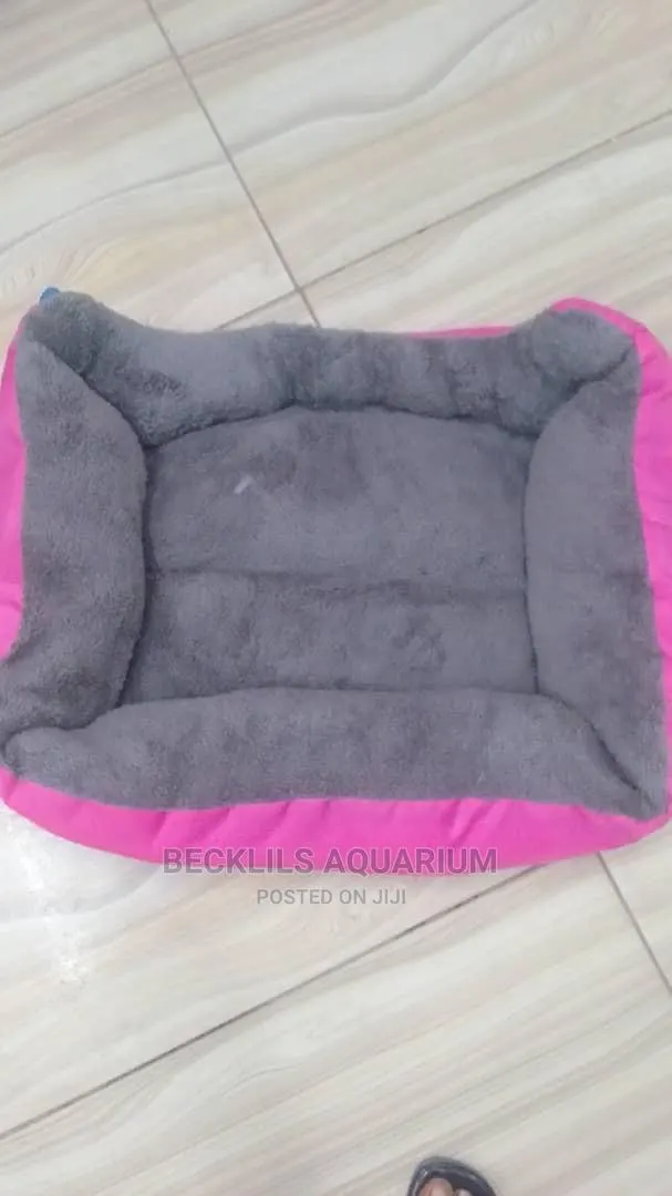 Bed for Dogs · Photo 1