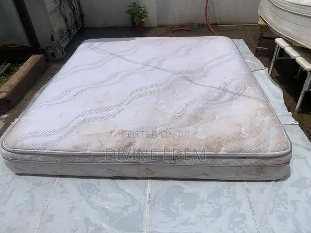 Contact Us for All Your Upholstery Cleaning Services · Photo 1