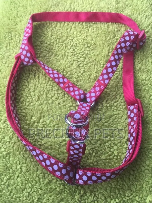 Toy Dog Harness #2 · Photo 1