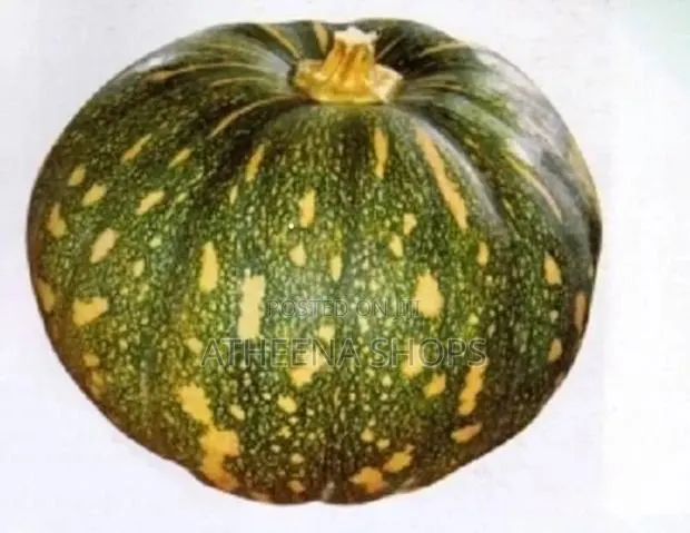 Pumpkin Seeds · Photo 2