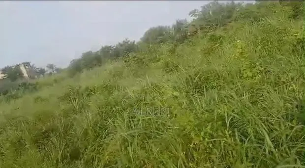 Land 4 Sale · Photo 1