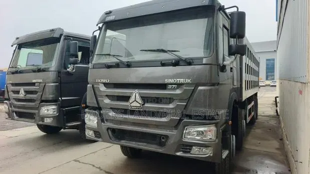 Howo 4*8 Dump Truck · Photo 1