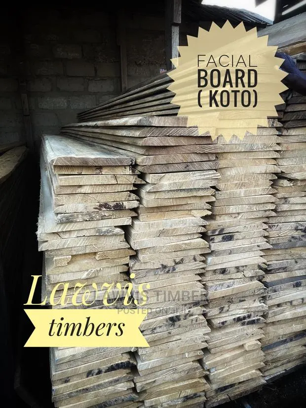 Facial Board ( Koto ) · Photo 1