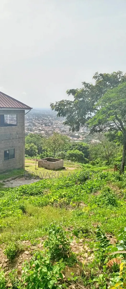 Two Plots of Registered Land for Sale · Photo 1