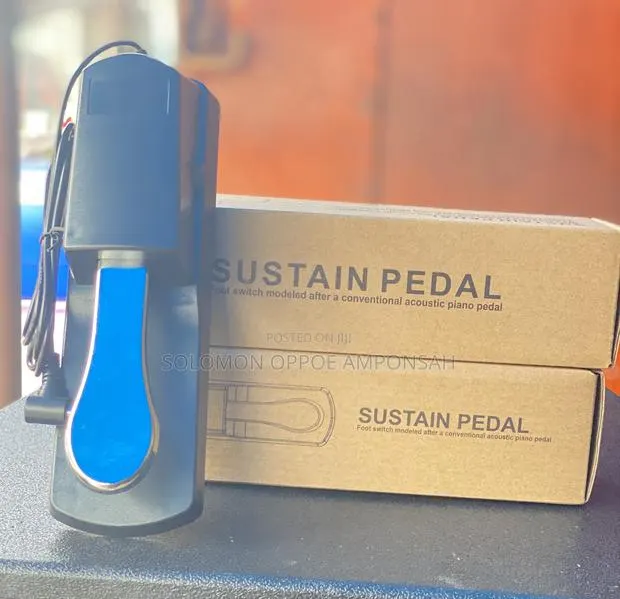Universal Sustain Pedal · Photo 1