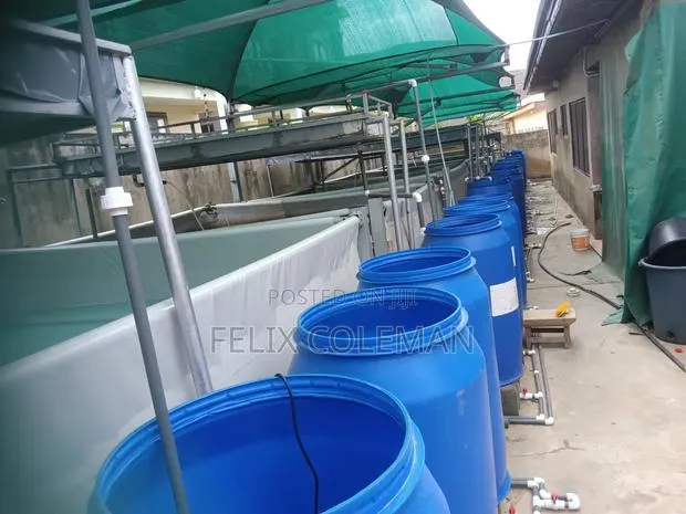 Tilapia Rearing System Setup · Photo 1