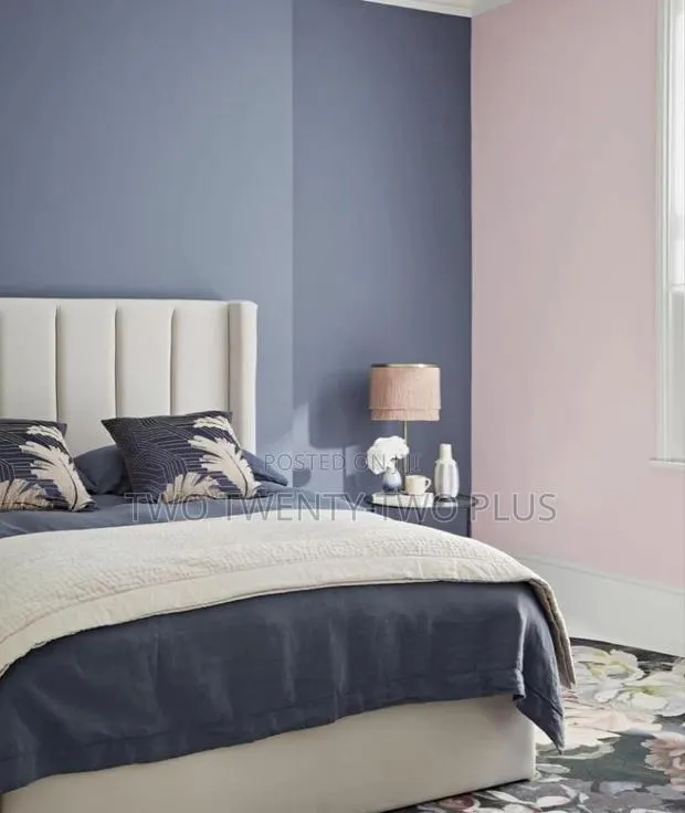 Do You Need A Painter? · Photo 1