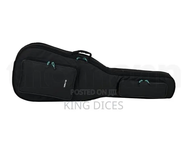 Bass Guitar Bag (Padded) · Photo 1