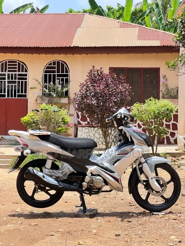 New Haojue HJ110-3 2025 Silver · Photo 1