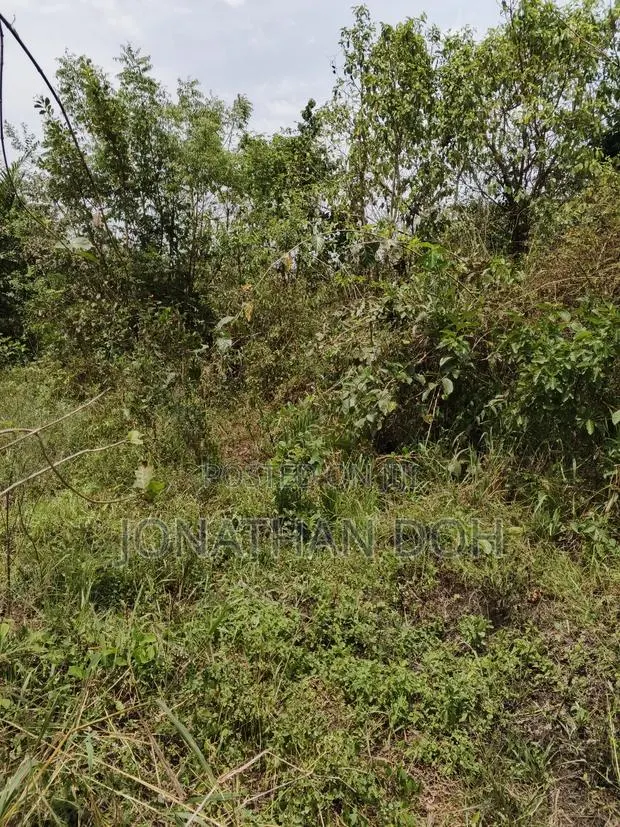 Farm Land for Sale at Juapong Area · Photo 1