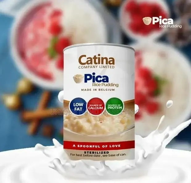 Pica Rice Pudding · Photo 1